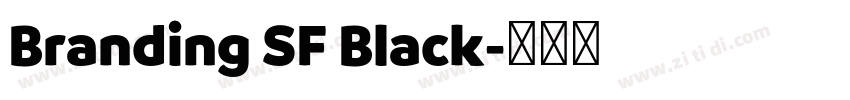 Branding SF Black字体转换